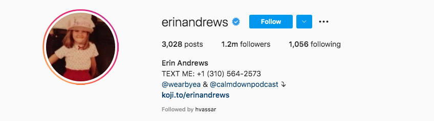 Top Sports Journalists Erin Andrews