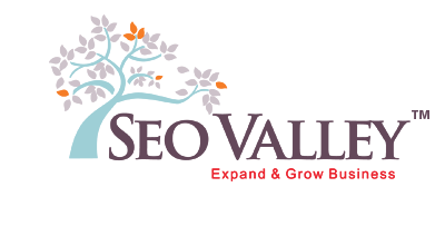 Seo Valley Logo