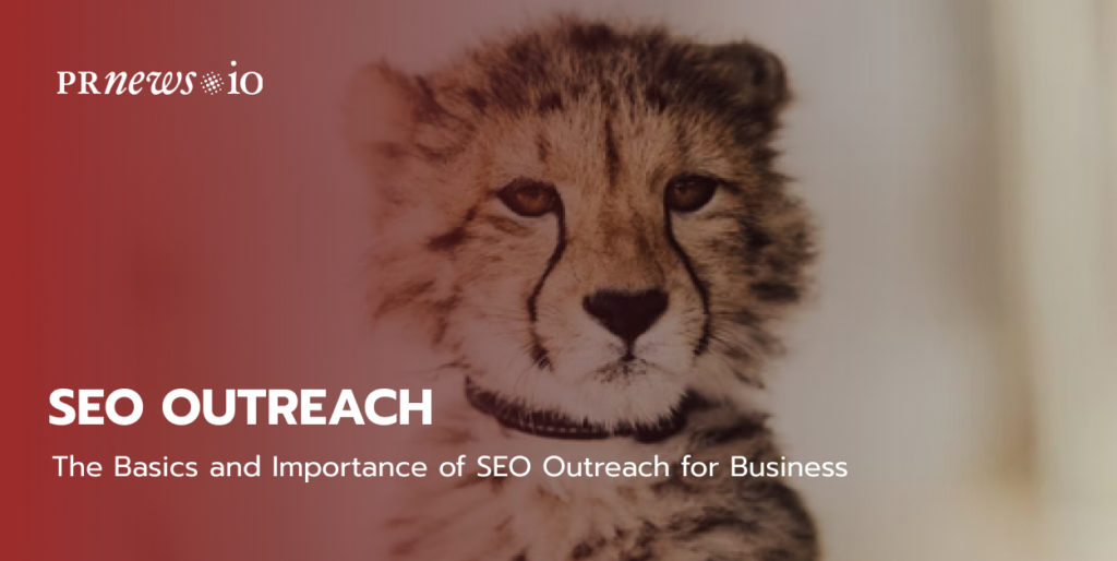 The Basics and Importance of SEO Outreach for Business.