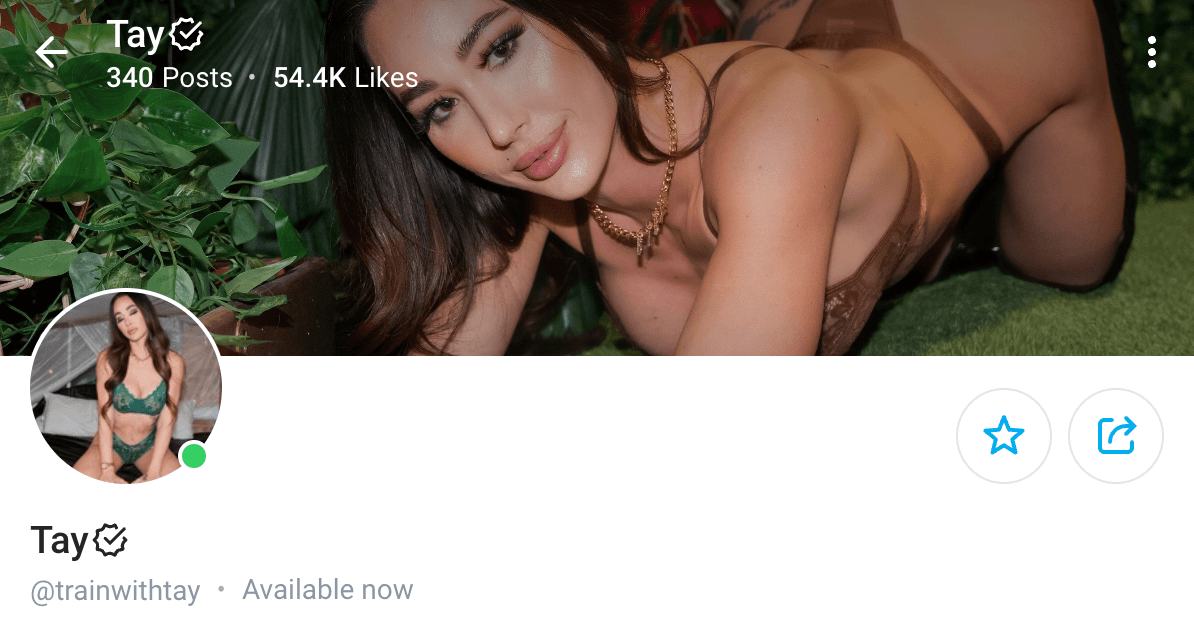 What Is OnlyFans and How the Platform Can be Used for Personal PR