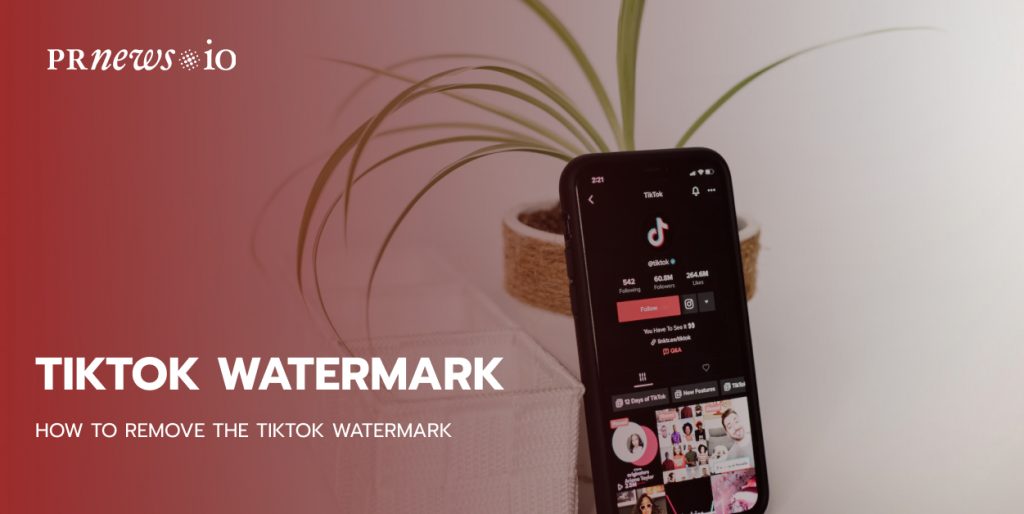 TikTok watermark
