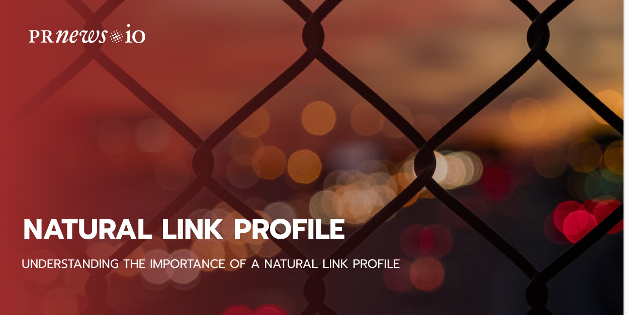Understanding the Importance of a Natural Link Profile