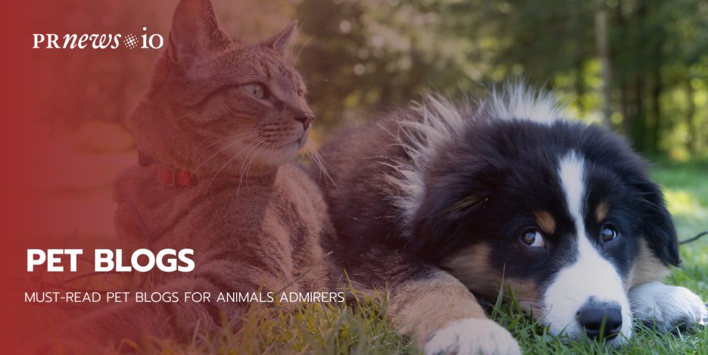 Pet Blogs