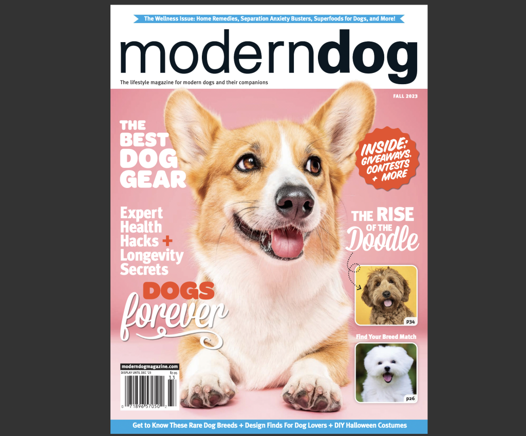 The 10 Must-Read Dog Magazines for Every Pet Parent