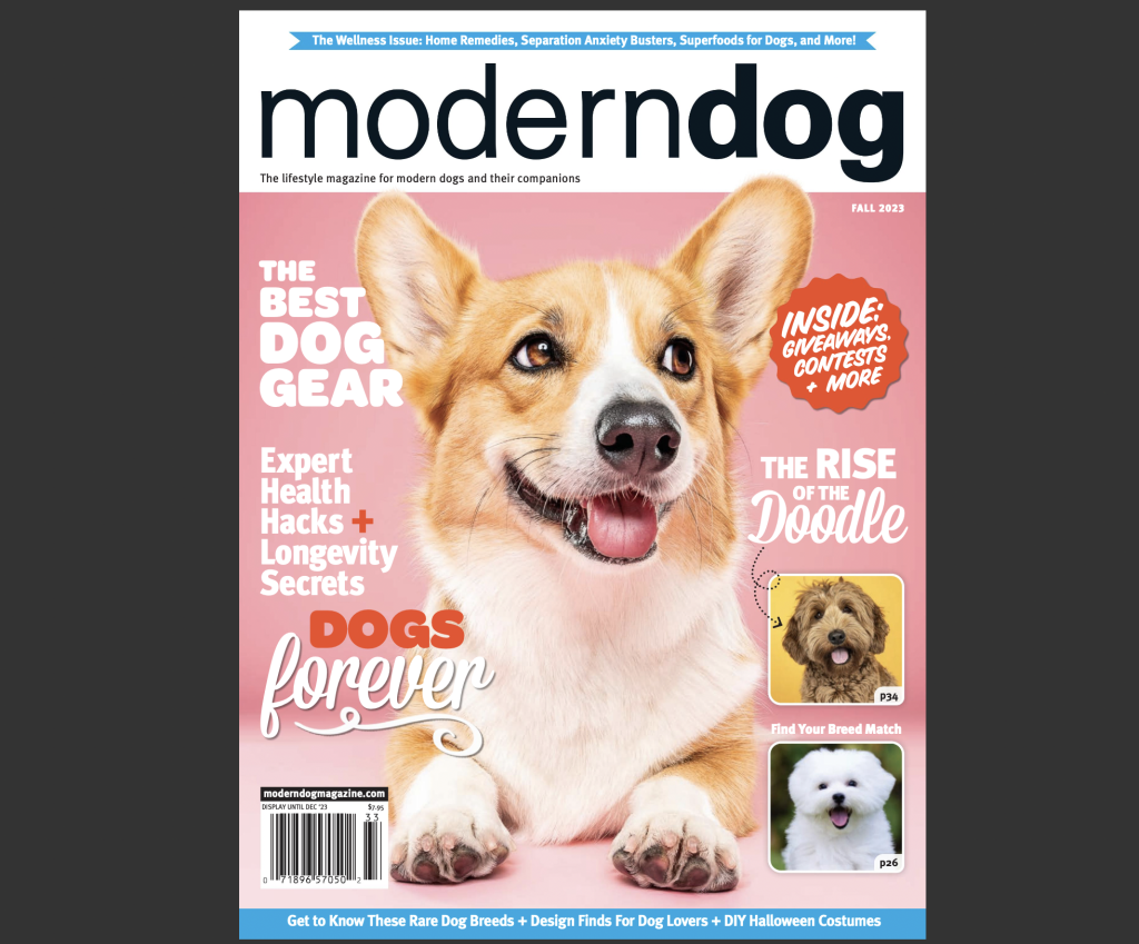 30 Best Dog Magazines and Blogs Every Pet Lover Should Follow