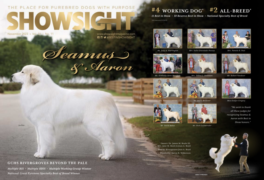 A Close Look at the Top 10 Dog Magazines