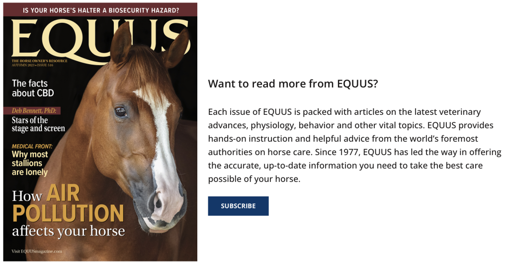 Unveiling the 10 Must-Read Horse Magazines