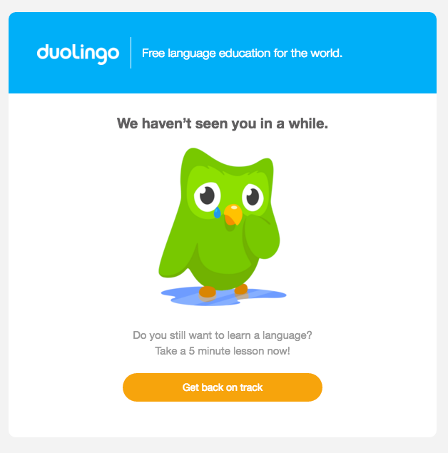  Email from Duolingo
