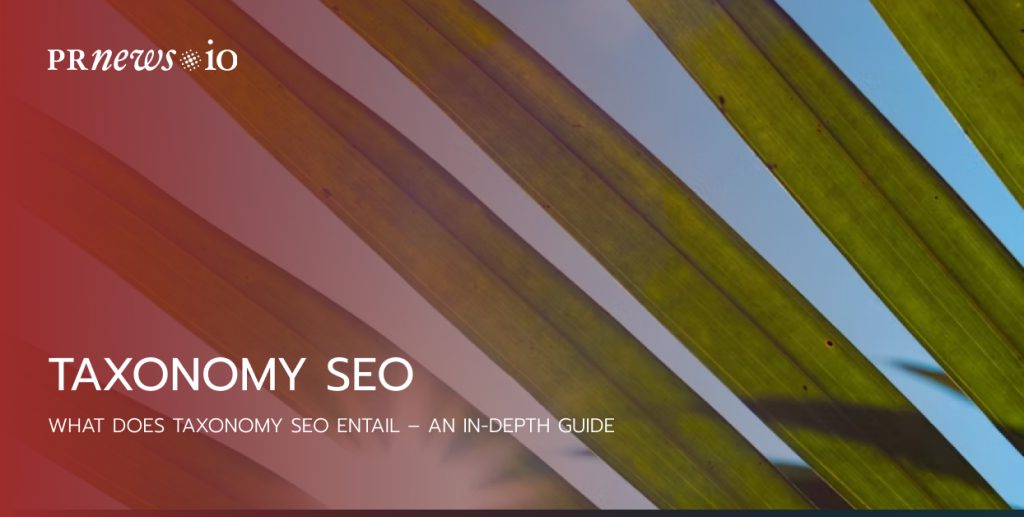 Taxonomy SEO
