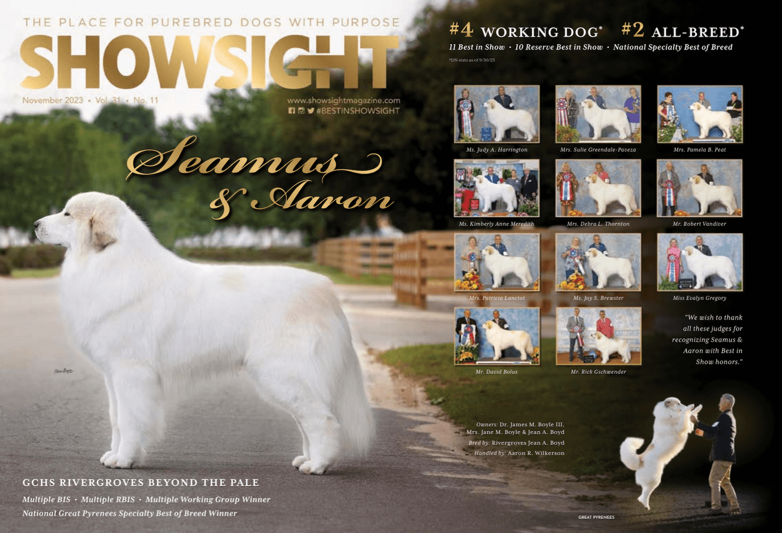 ShowSight Magazine