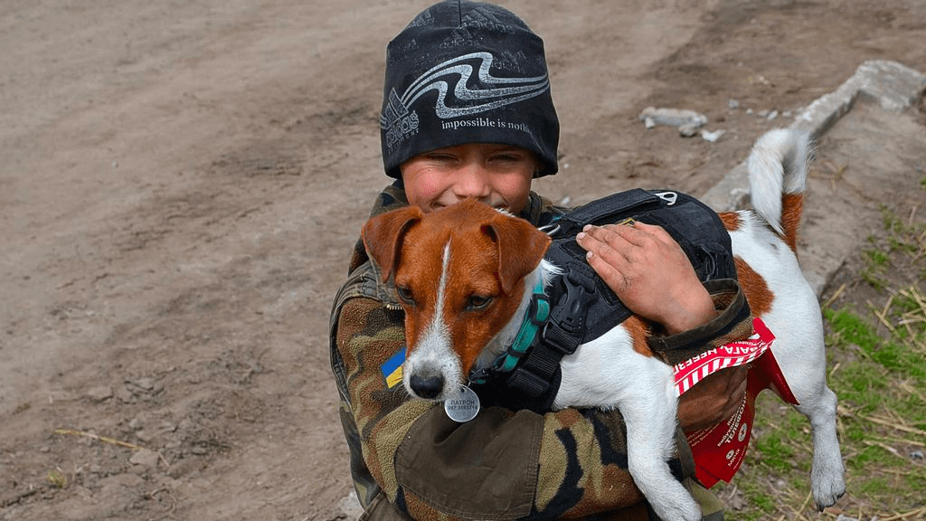Ukrainian sapper dog Patron