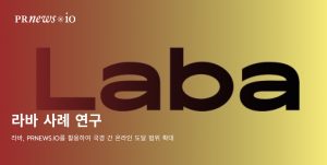 Laba case study