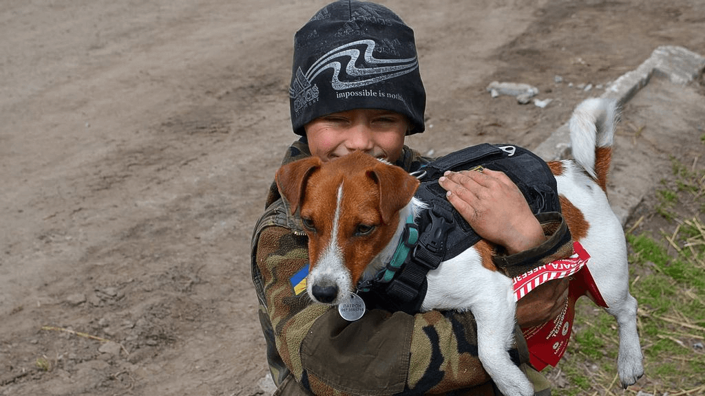 A Boy with A dog